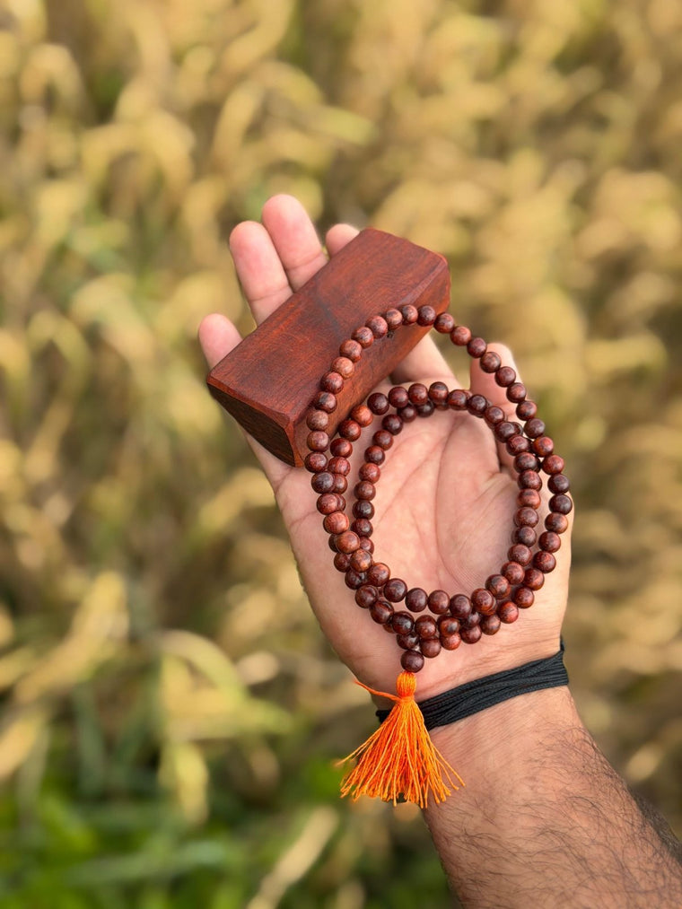 Red Sandalwood