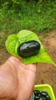 Green oval linga stone ( Emerald)