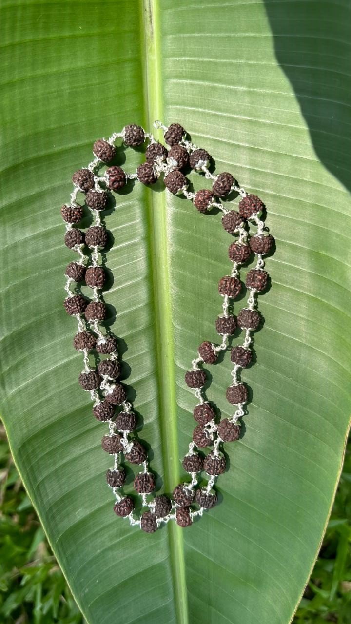 Rudraksha Black Silver(925)cap Mala-54 beads