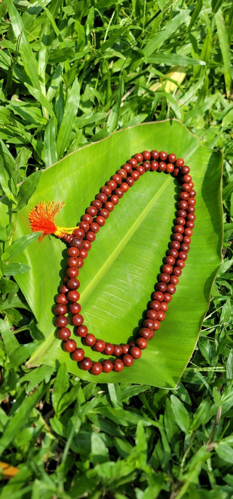 Red Sandalwood Mala 10mm