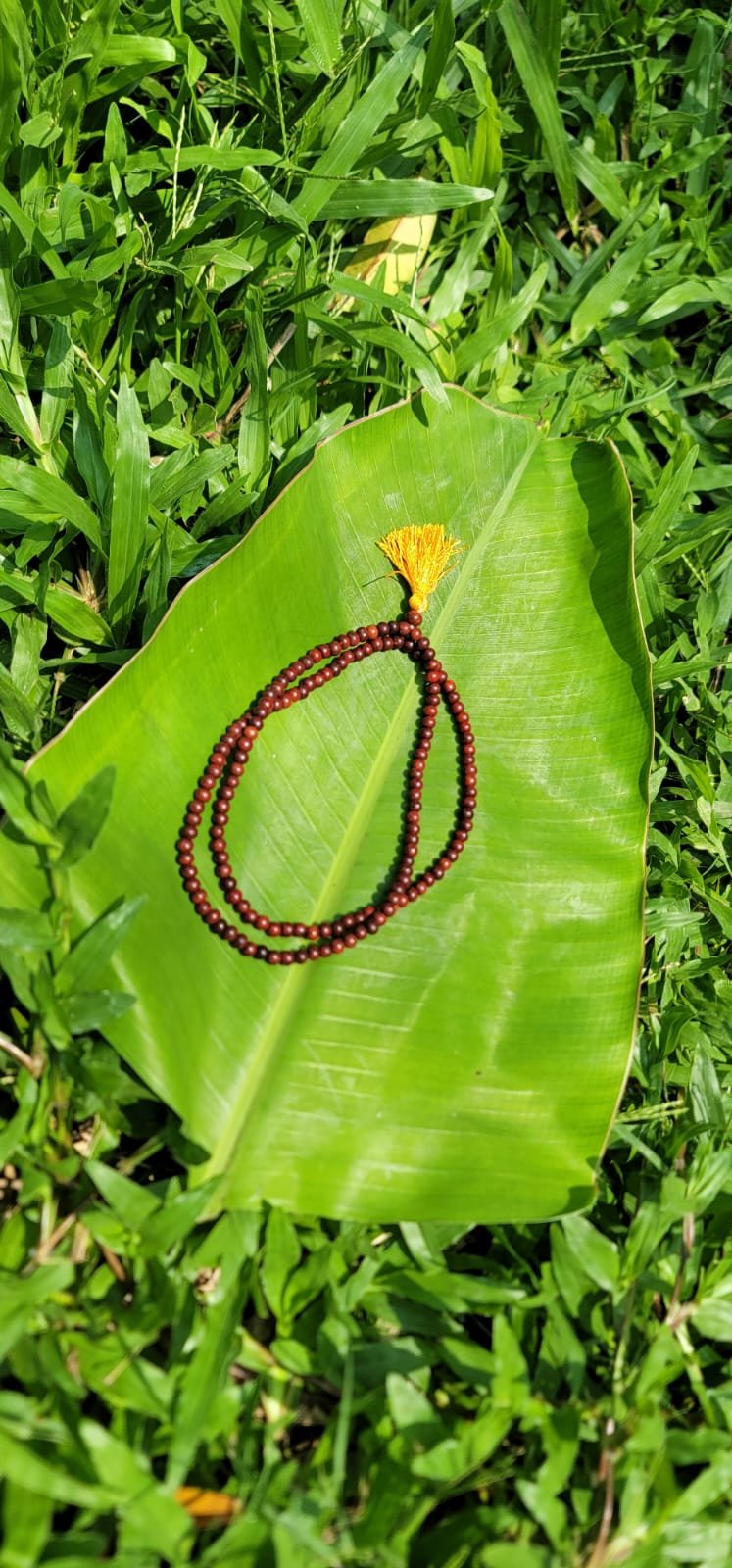 Red Sandalwood Mala 4mm