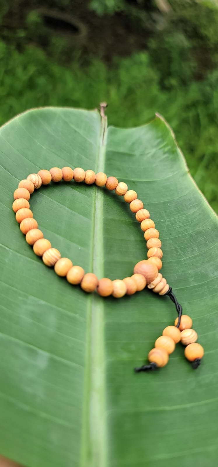 Devadharu Bracelet 8mm