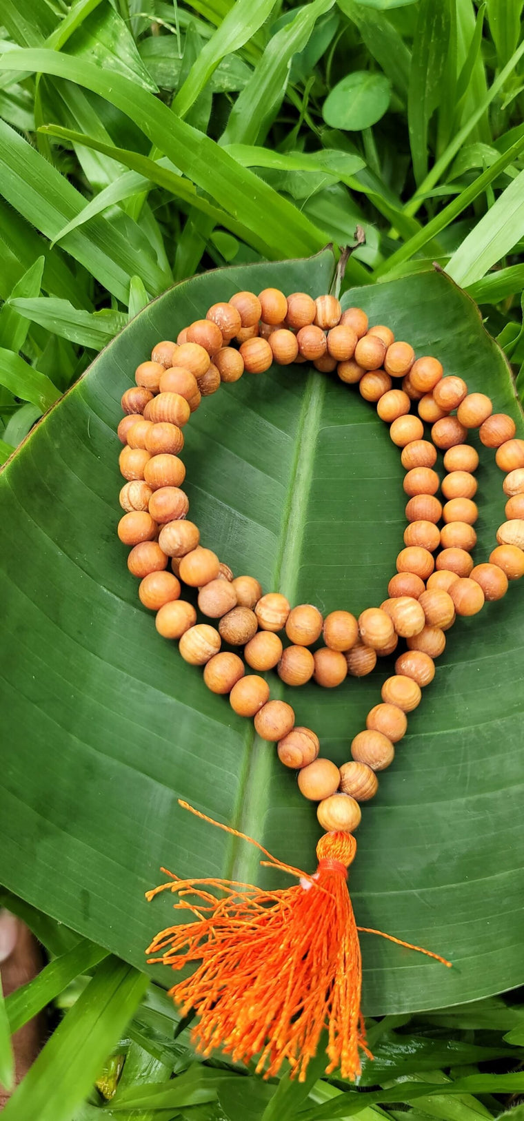 Devadharu Mala 6mm