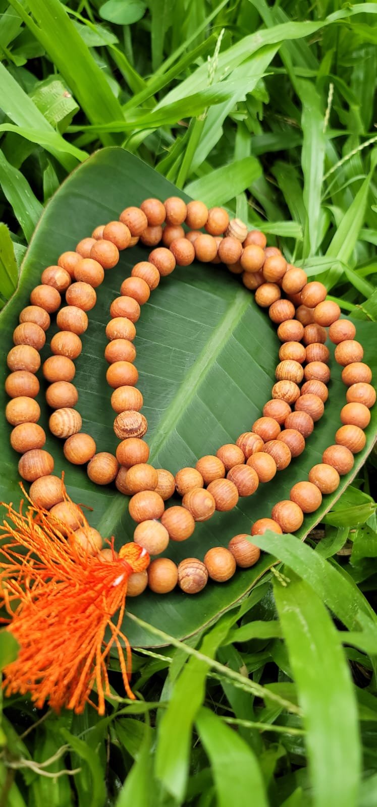 Devadharu Mala 8mm