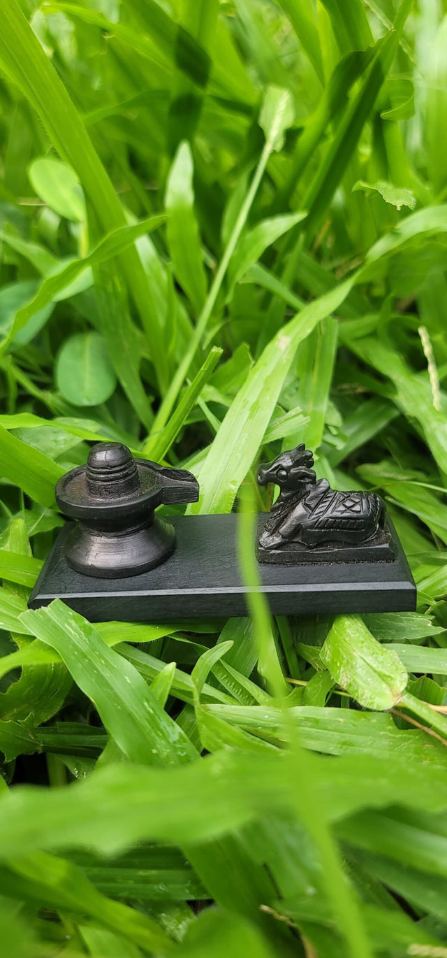 Karungali Shiva Car Dashboard (small)