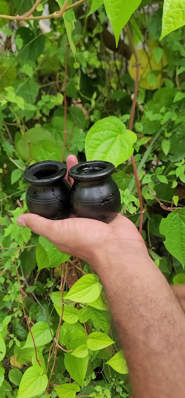Karungali Pot 3"