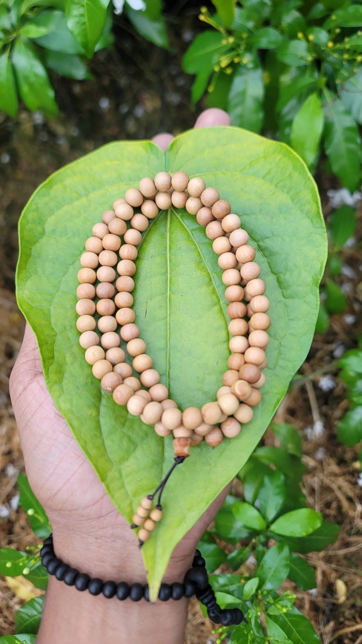 White Sandalwood Mala 8mm
