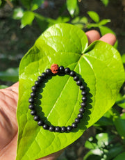 Karungali with Rudraksha Bracelet-6mm