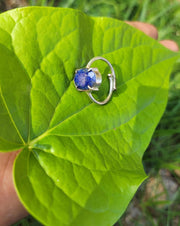 Lapiz Lazuli Ring