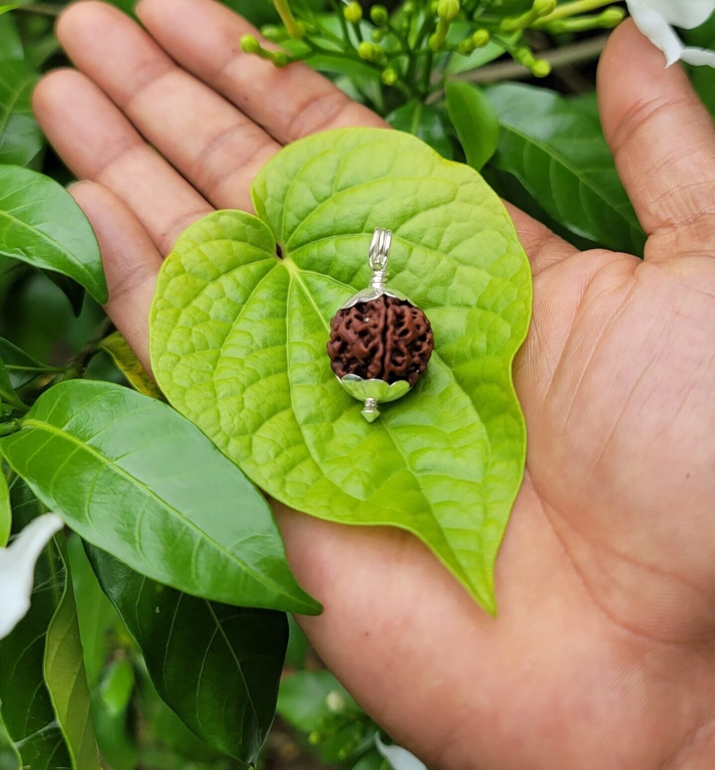 Rudraksha silver(925) doller (5 face)