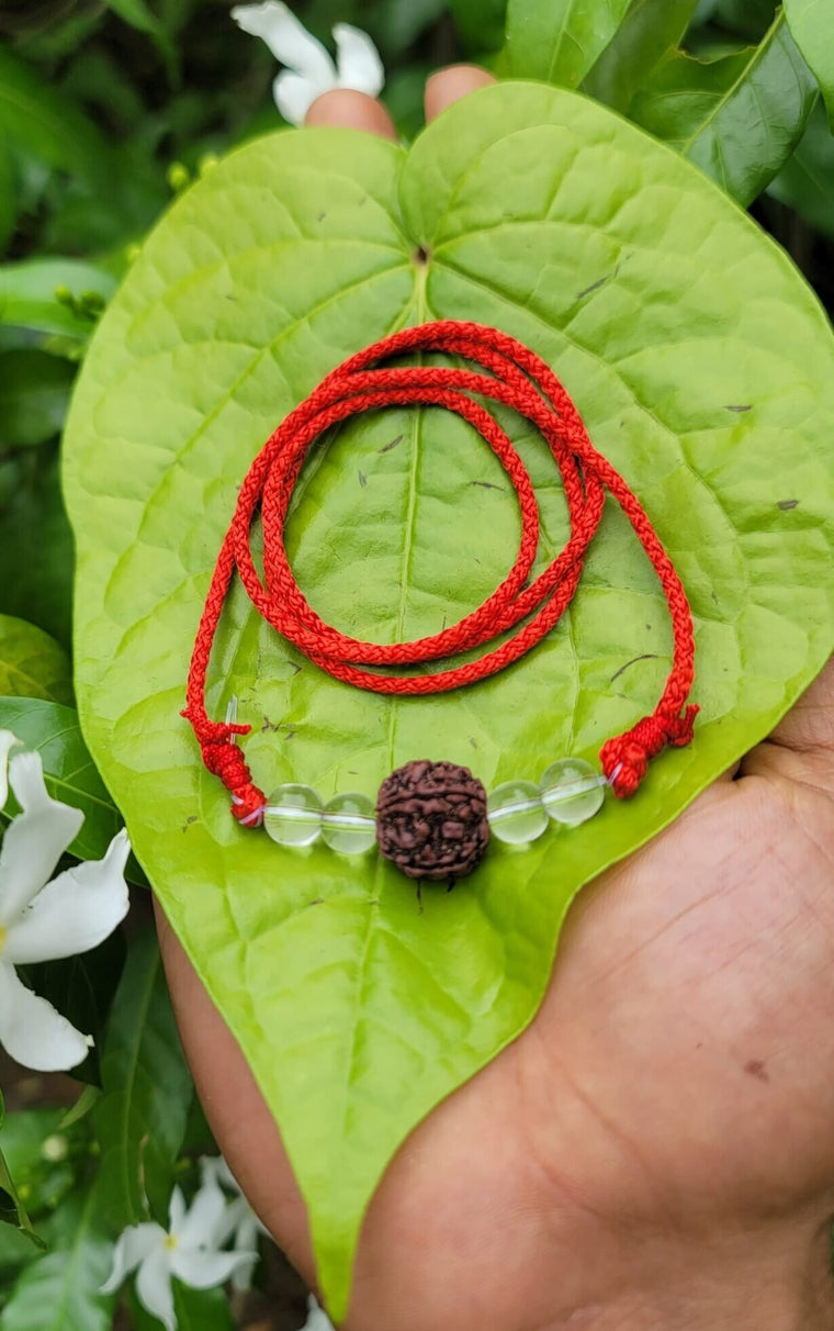 Rudraksha spatika mala with Red Thread