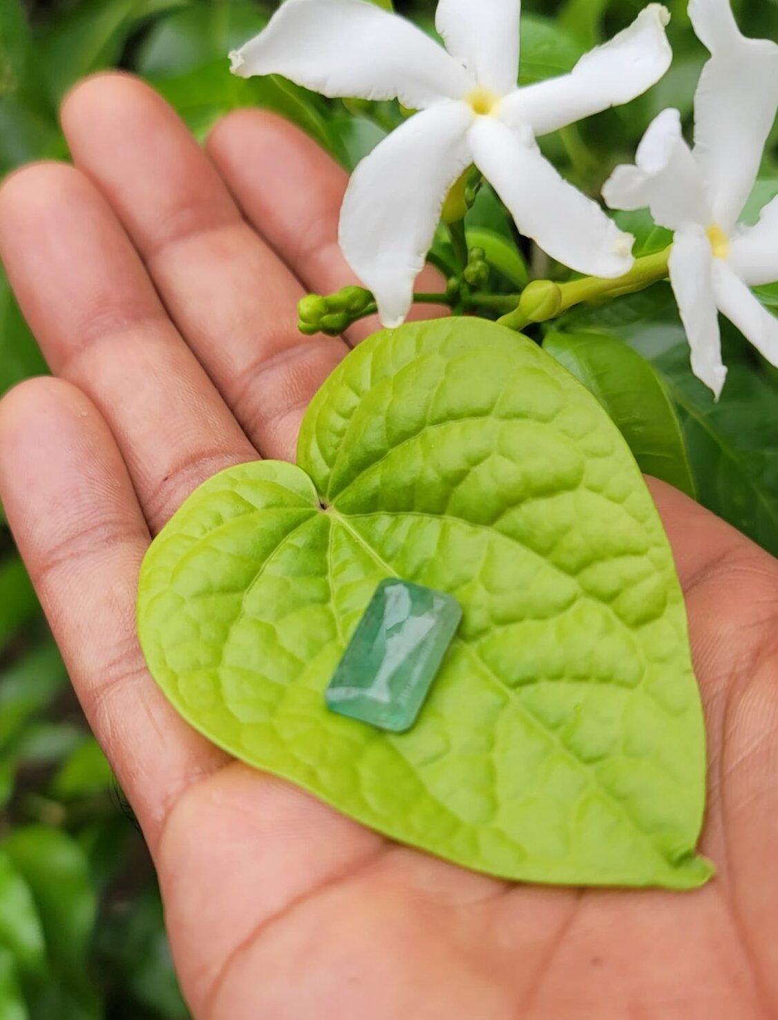 Emerrald Natural (Budh)