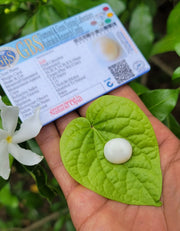 Opal Natural (Venus ,Shukra)