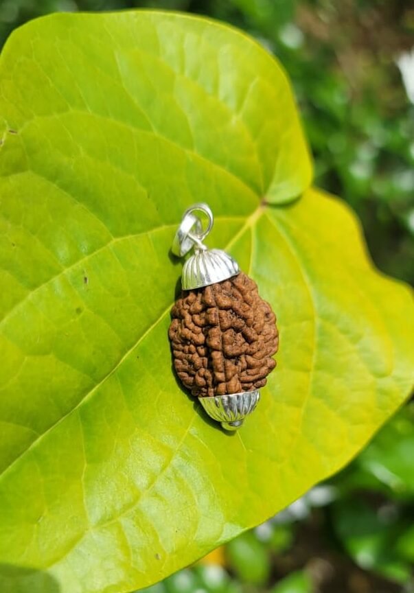 Rudraksha - 2 face Silver Dollar(indian)