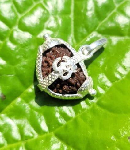 Rudraksha Single Face with Silver Om Dollar