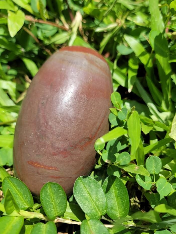 Narmada Shivalinga Stone