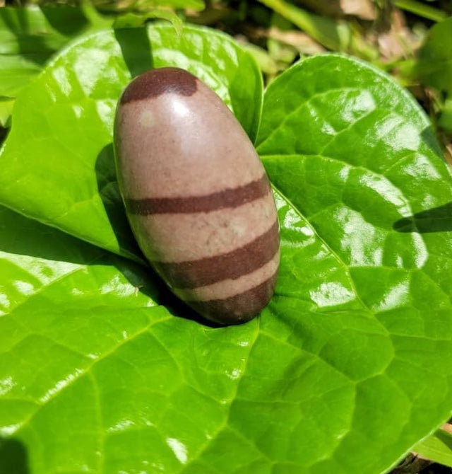 Narmada Shivalinga Stone (small)