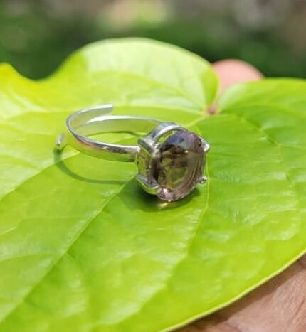 Amethyst Gem Ring (free size)