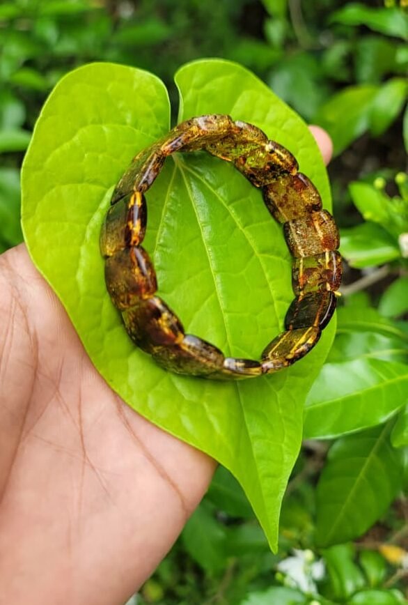 Amber Bracelet (pure original)