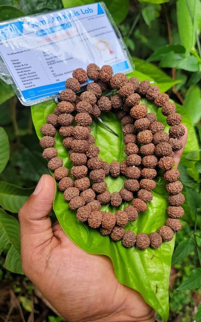 9 Face Rudraksha Mala (Nava Mukhi)8MM