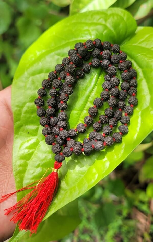 Black Rudraksha Mala 5.5mm