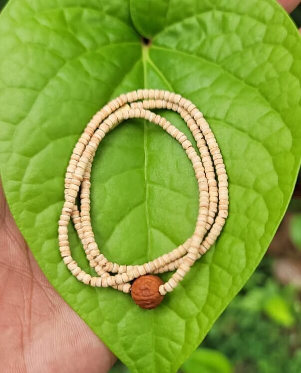 Tulasi Mala with Rudraksha Dollar (small)
