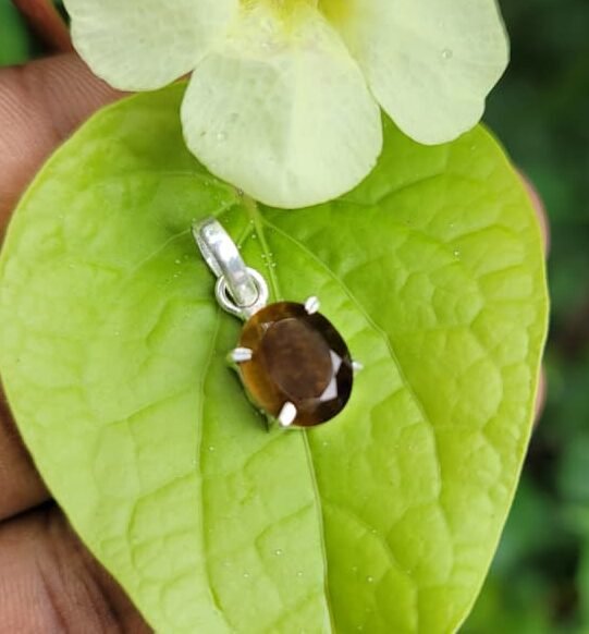 Tiger Eye Gem Pendant (new)