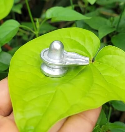 Mercury Shivalinga