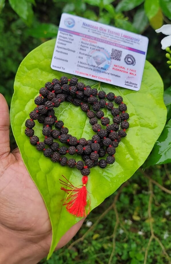 Black Rudraksha Mala-8mm