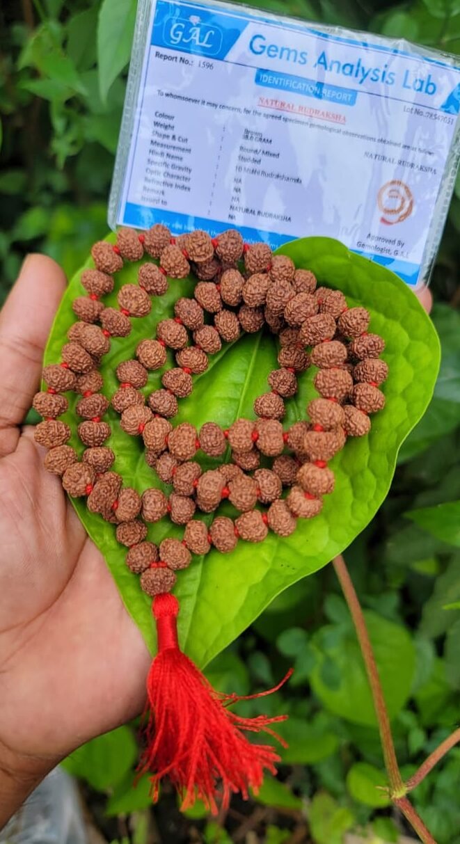 10 Face Rudraksha Mala (dasha Mukhi)8MM
