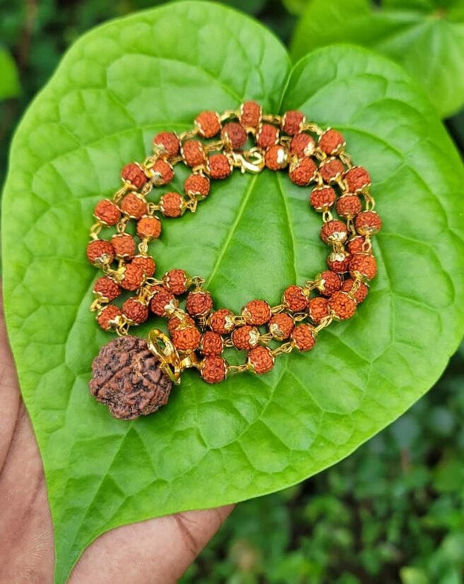 Rudraksha Gold Plated with Om Rudraksha Dollar-8mm