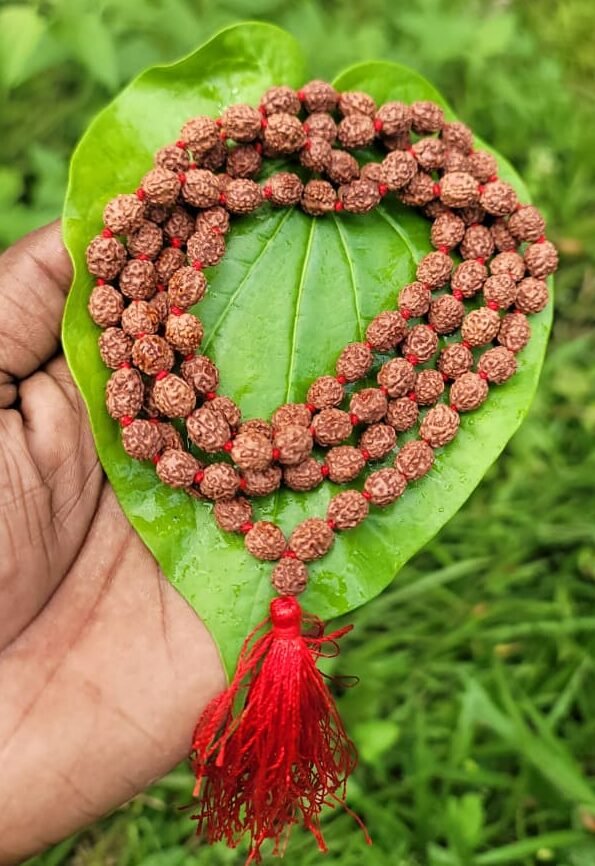 3 Face Rudraksha (tre Mukhi) mala