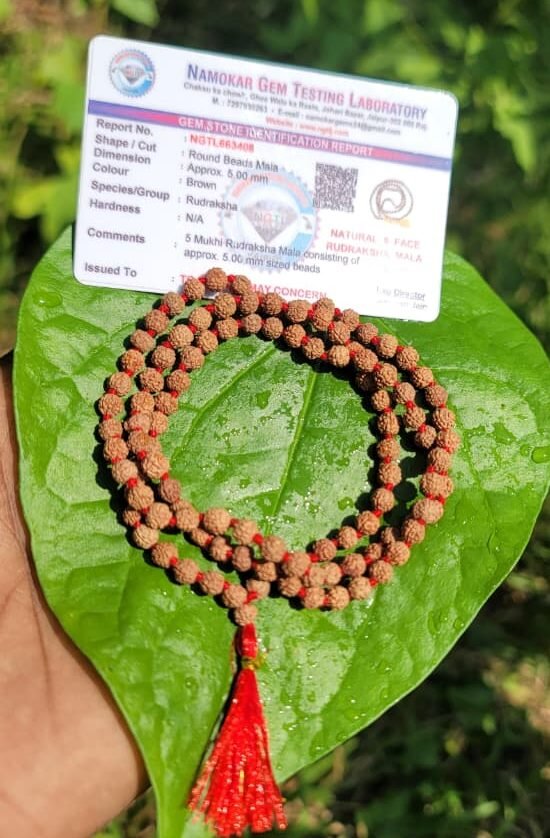 Rudraksha Mala 5mm (5face)– 108 beads