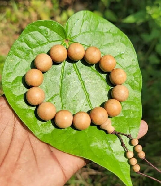 White Sandalwood Bracelet -12mm