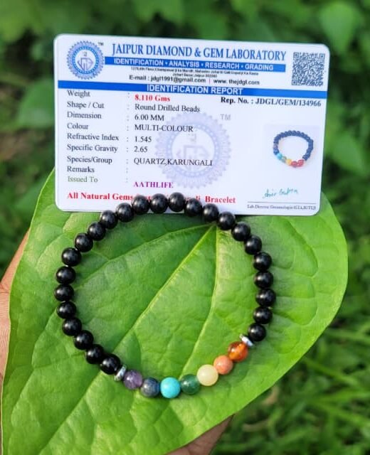 Karungali with Seven Chakra Bracelet – 6mm