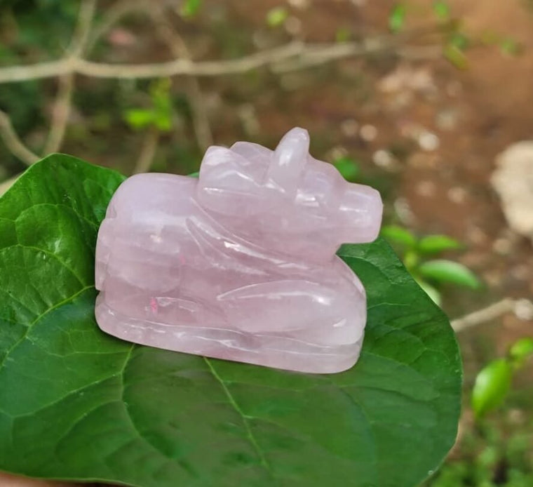 Rose Quartz Nandi