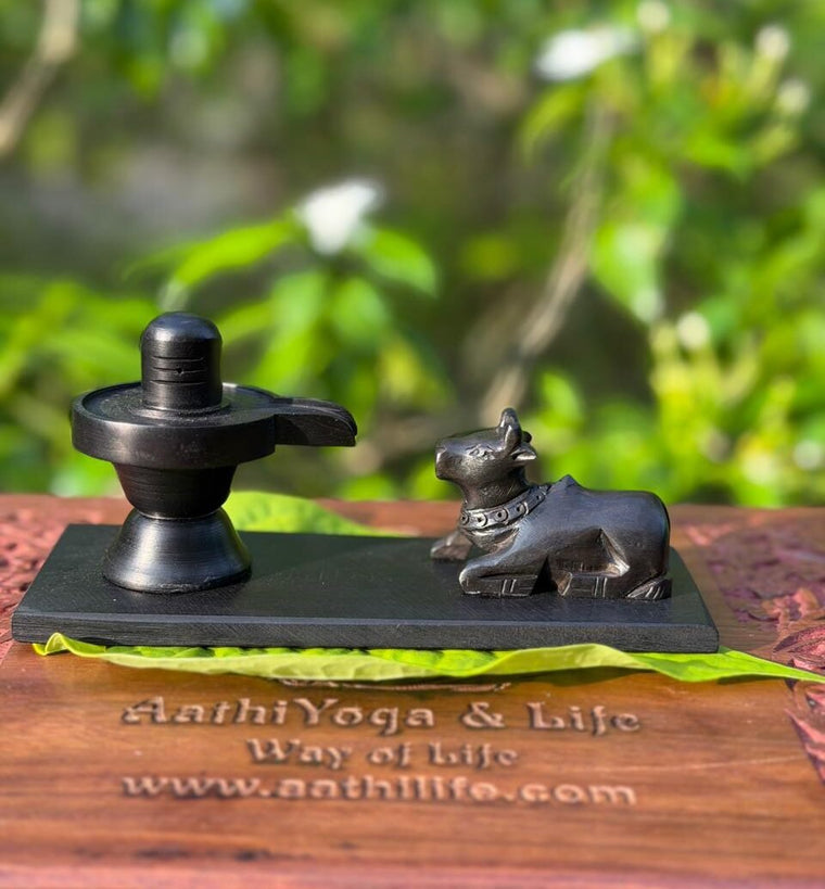 Big Karungali Shiva Car Dashboard & Pooja Room