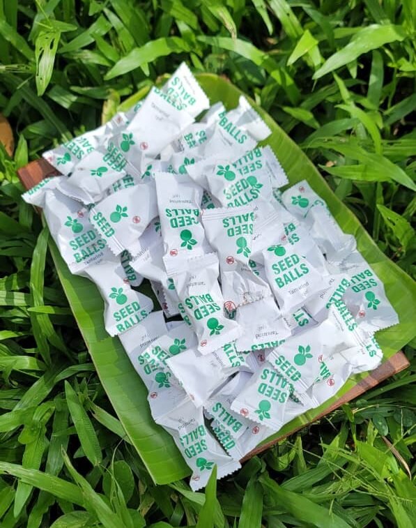 Seed Balls