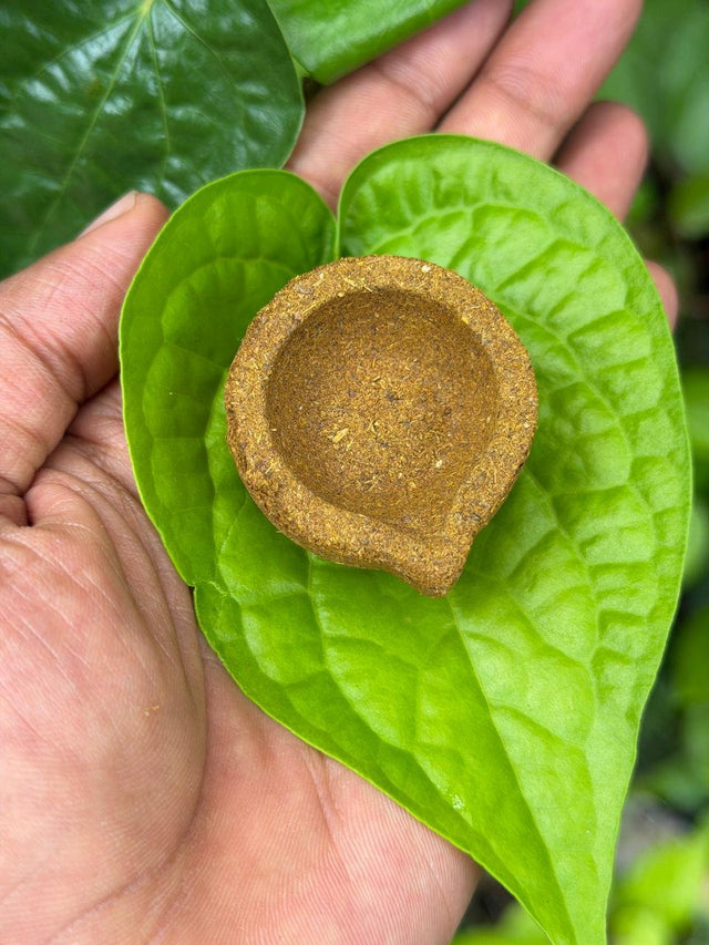 Panchakaviya Vilakku(Diya)