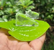 Spatika Nandi