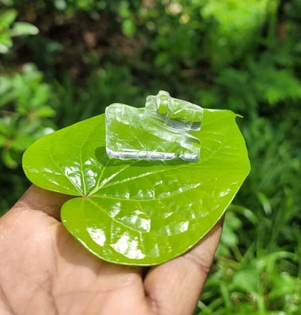 Spatika Nandi